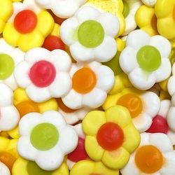 Marguerites Daisies (100g) Halal